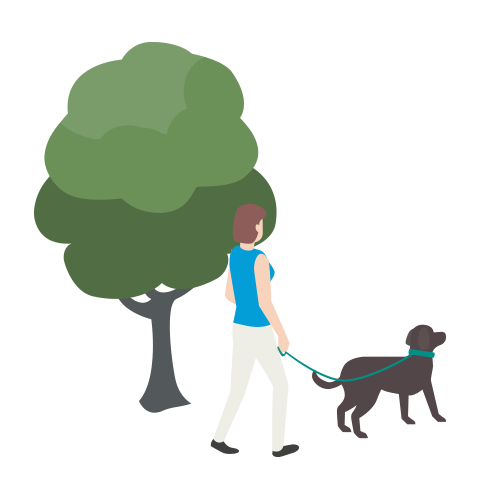 אישה מטיילת עם הכלב שלה בחוץ ליד עץ גדול